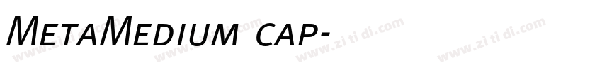 MetaMedium cap字体转换